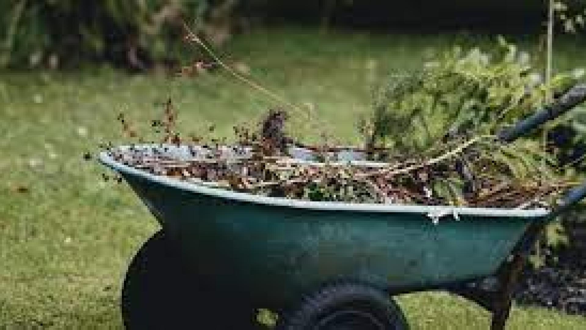 Wheelbarrow filled with yard waste during a cleanup in a grassy area.