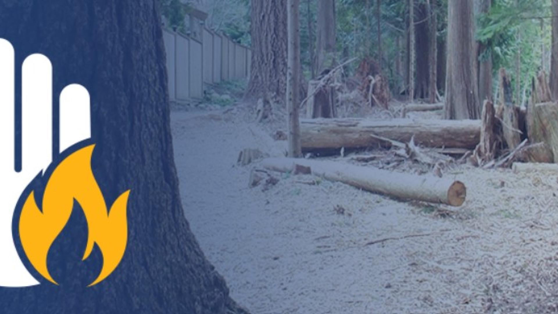 BC Wildfire service banner