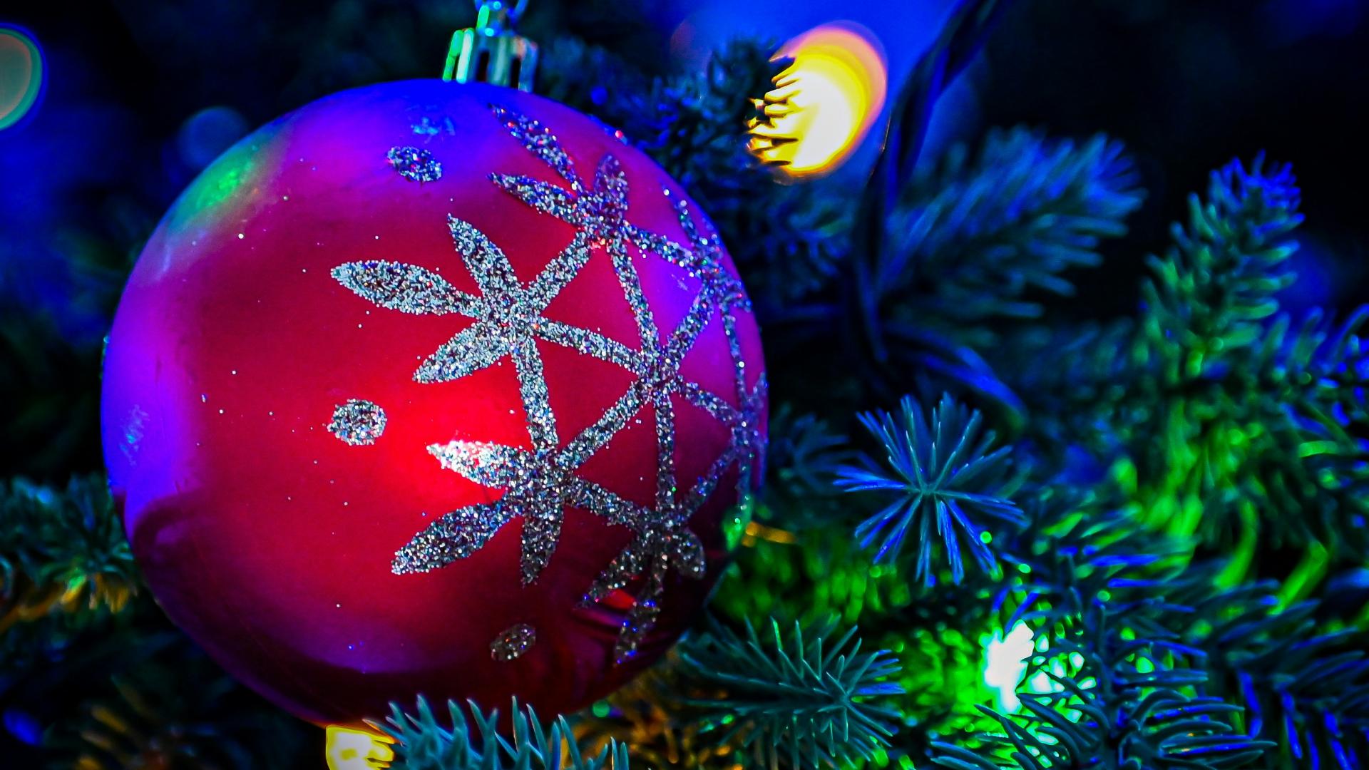 Christmas tree ornament, branch and lights