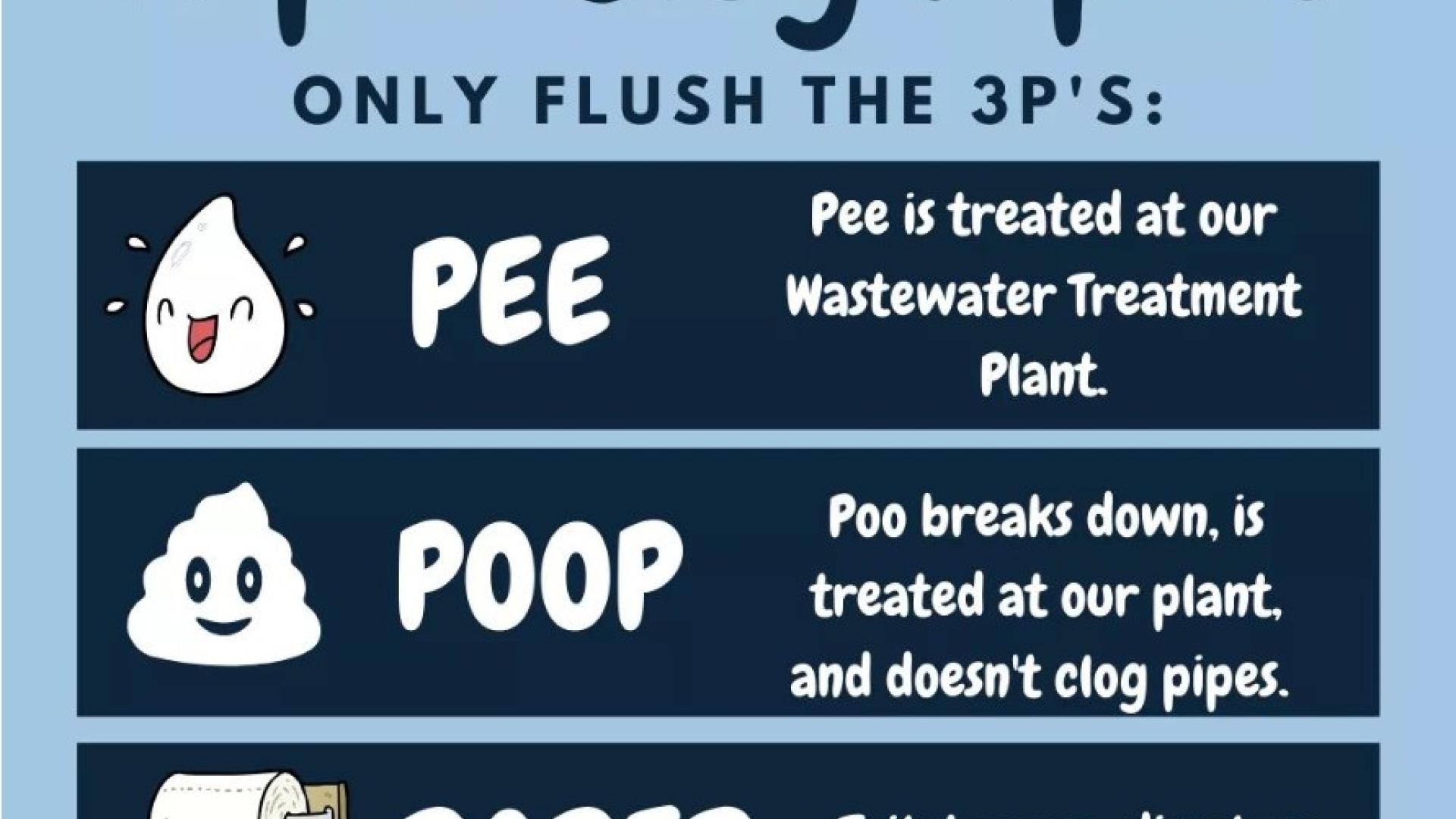 Wipes clog pipes sign