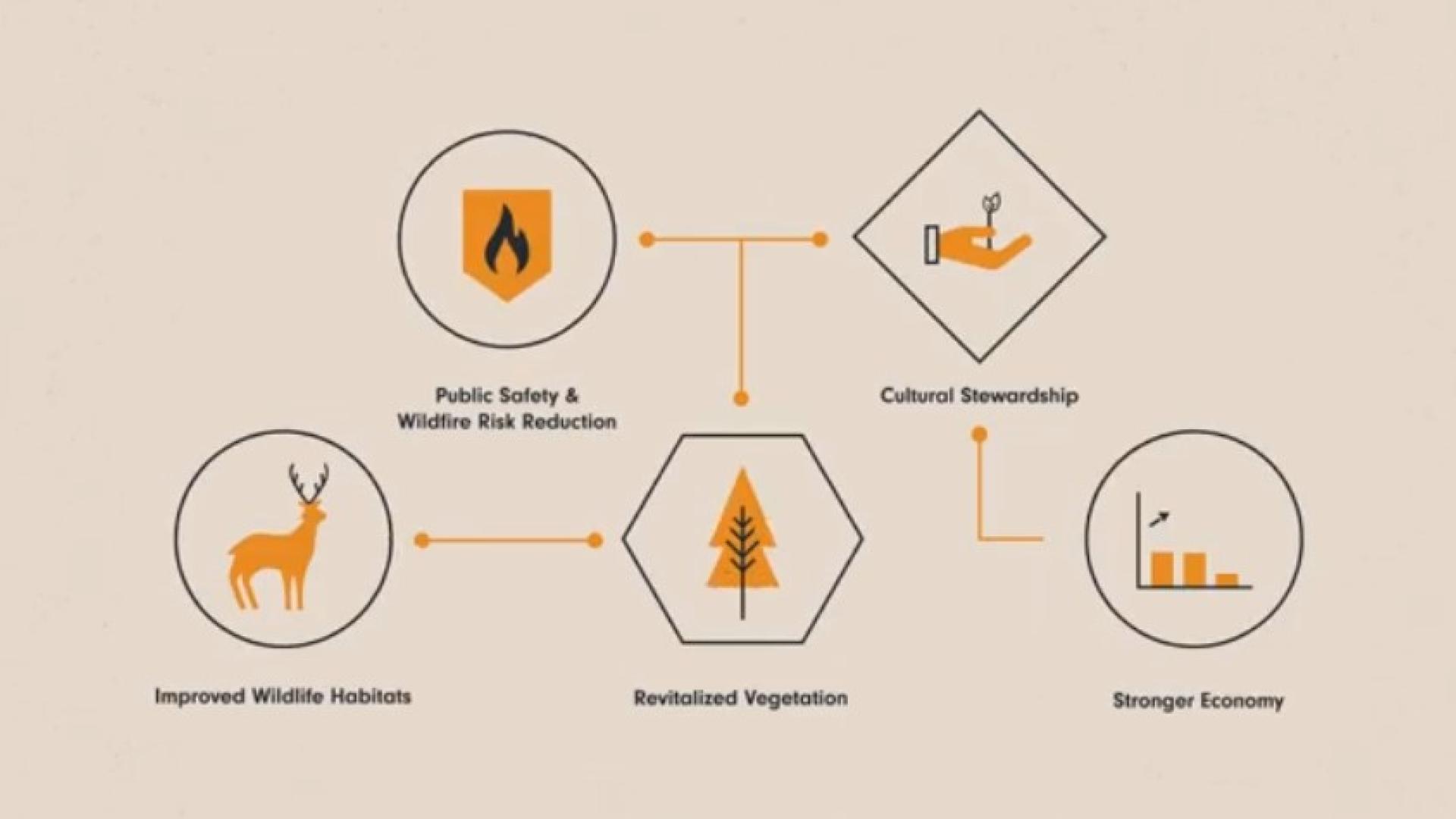Prescribed fire benefits