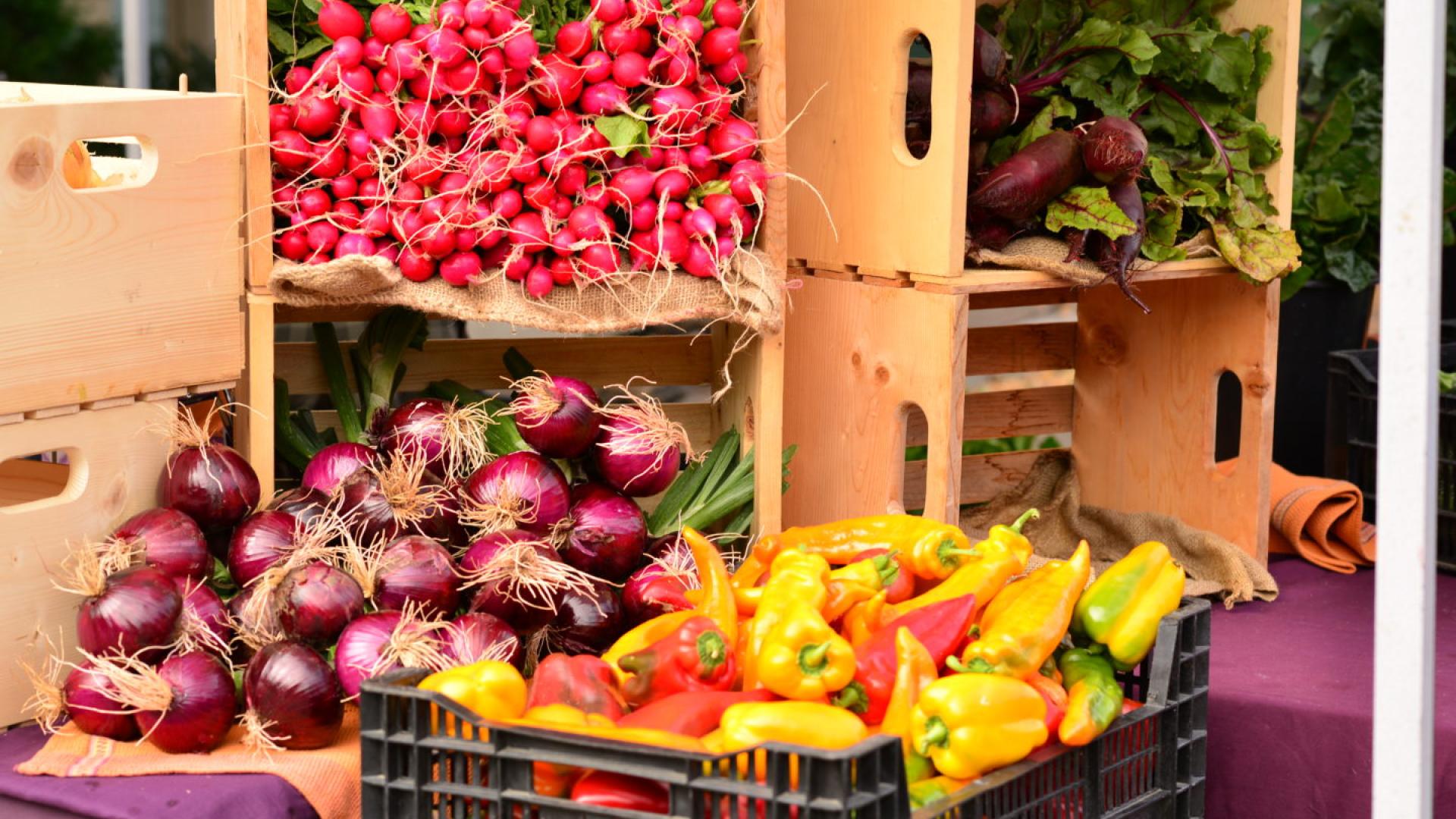 Two Rivers Farmers Market photo credit: April Roberts