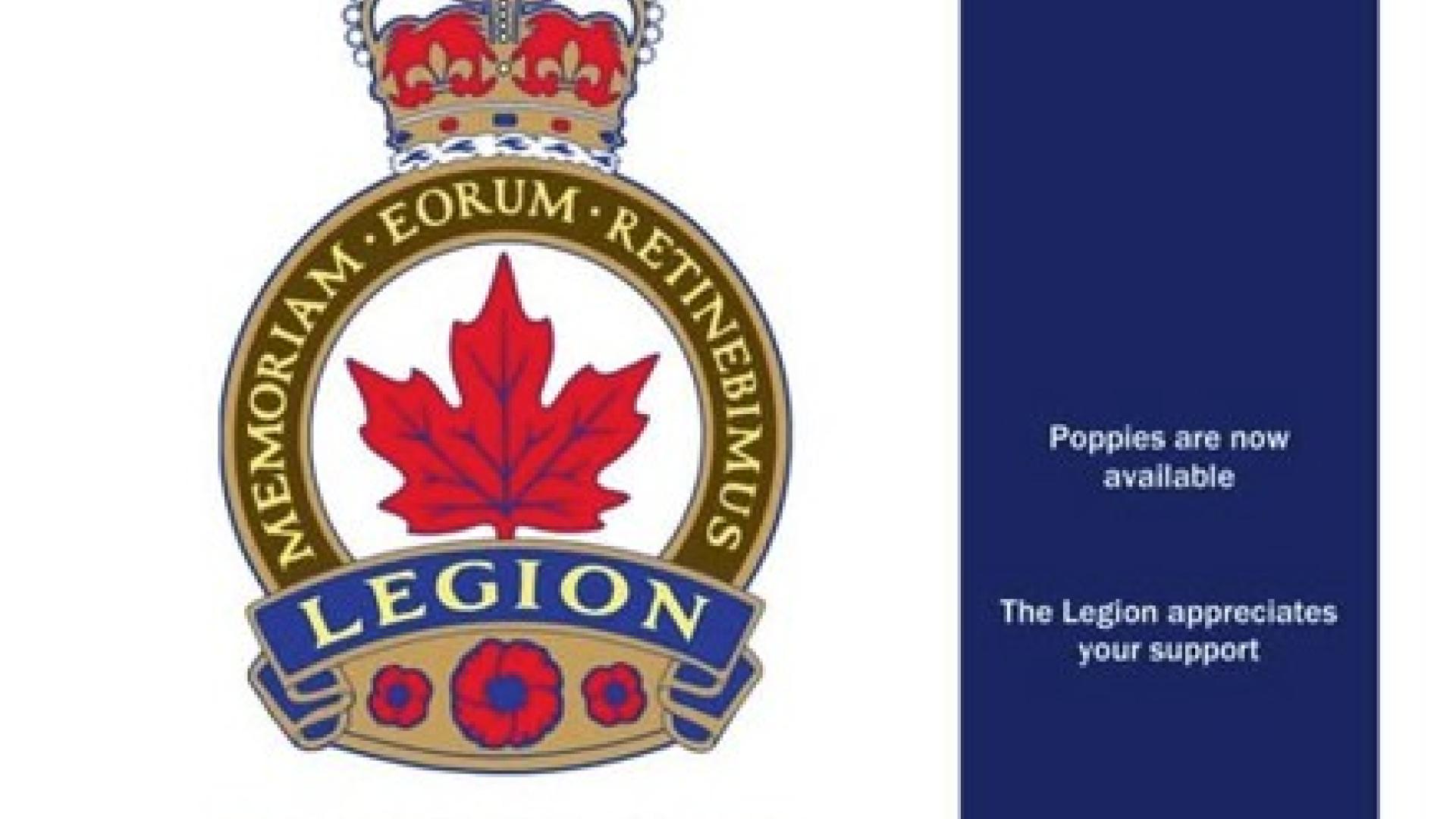 Remembrance Day ceremony snip