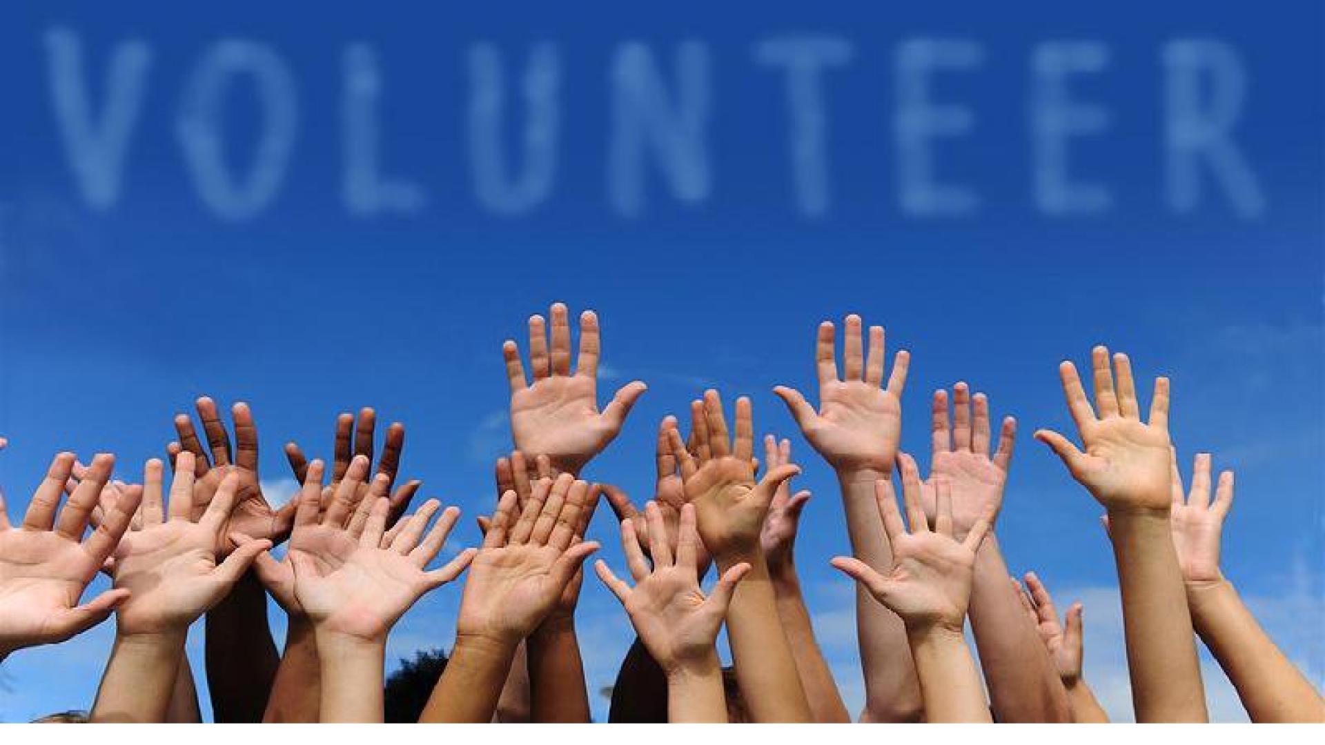 Many hands raised and word volunteer
