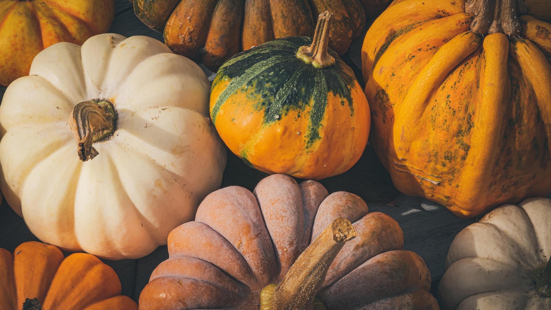 Pumpkins and squash