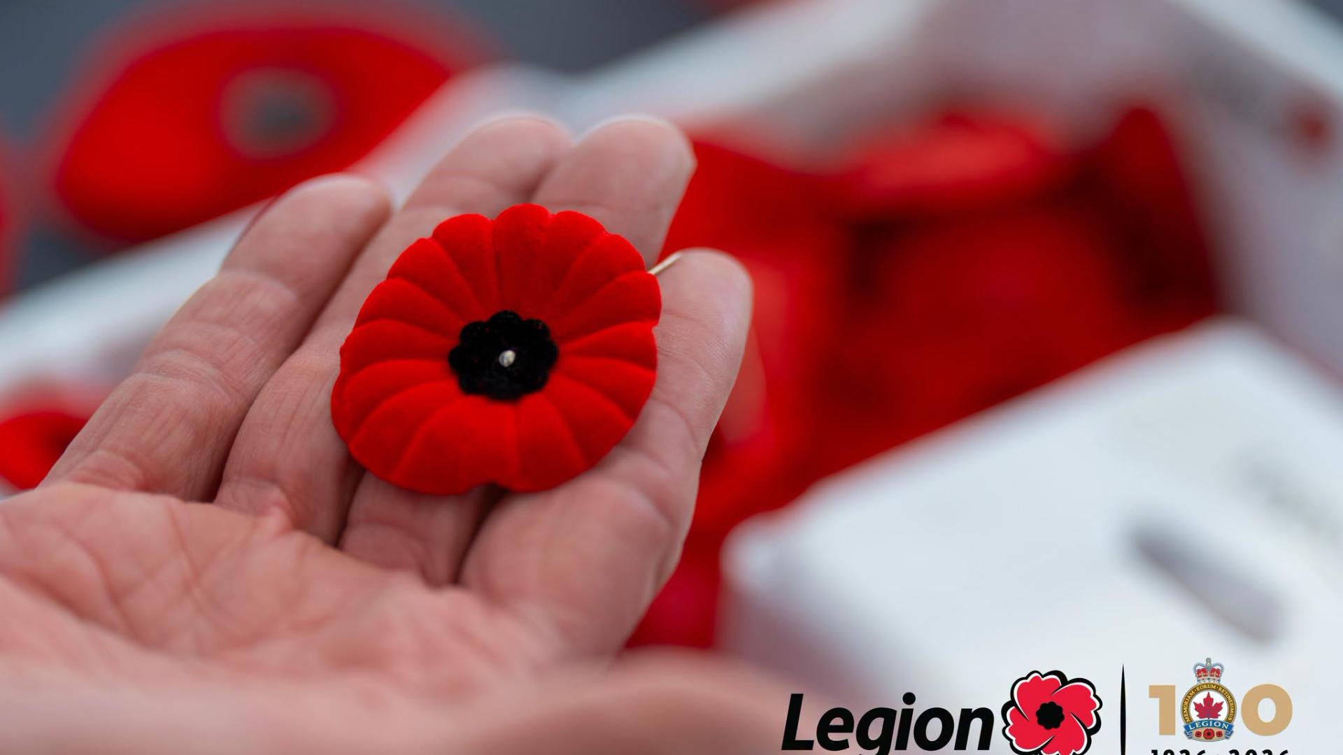 Legion poppy