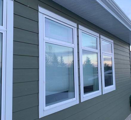 Green house exterior with white-framed windows reflecting the sky.