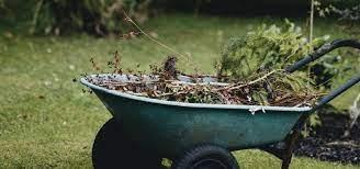 Wheelbarrow filled with yard waste during a cleanup in a grassy area.