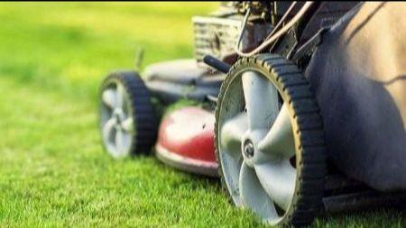 Close-up of a lawnmower on green grass.