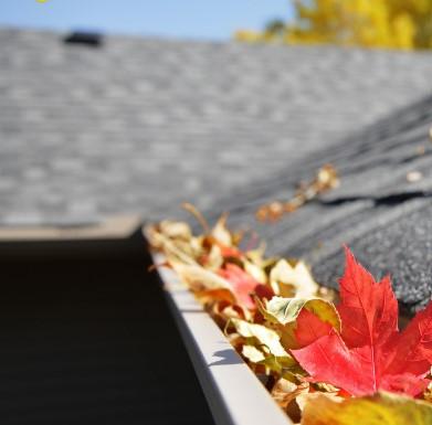 Autumn leaves in a house gutter.
